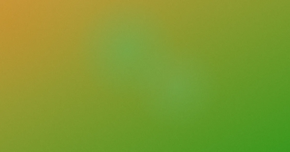 88影视网老用户避坑笔记